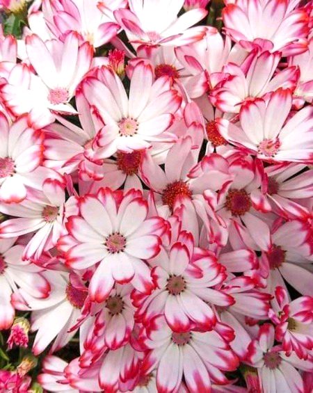 Beautiful Nature image