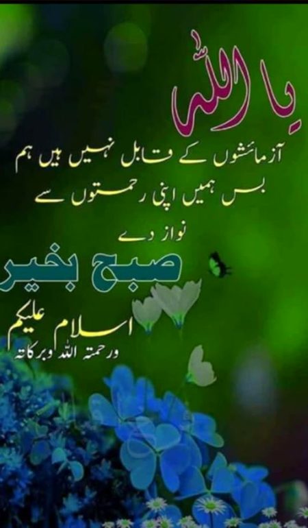 Good morning