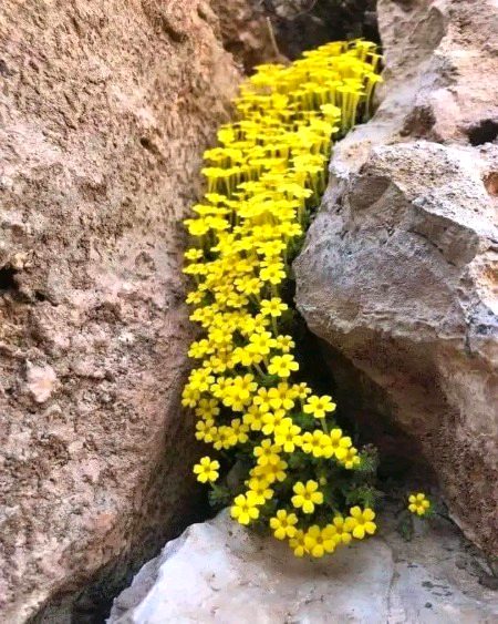 Beautiful Nature image