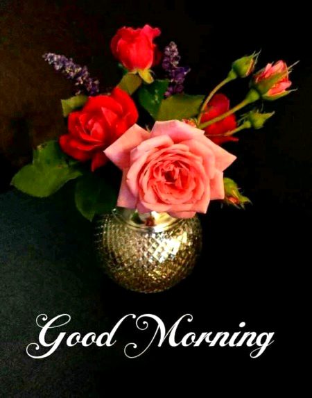 Beautiful Nature image