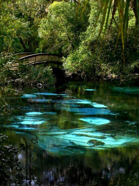 Beautiful Nature image
