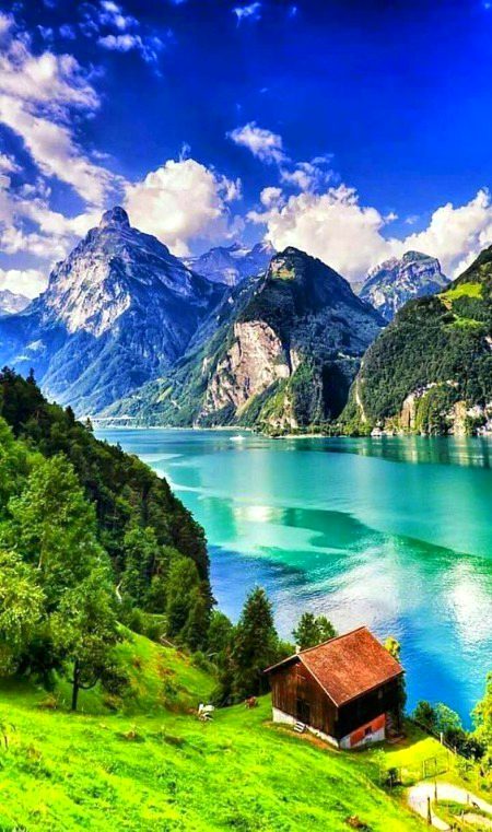 Beautiful Nature image