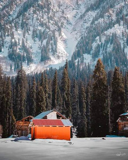 Beautiful Nature image