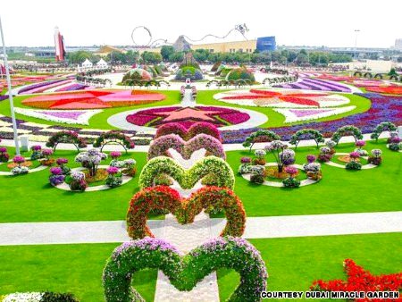 Beautiful Nature image