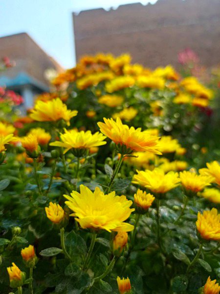 Beautiful Nature image