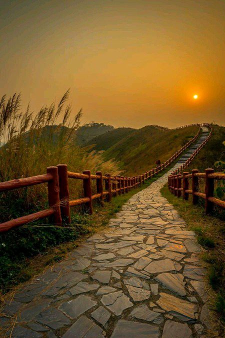 Beautiful Nature image