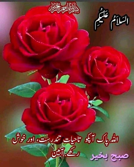 Islamic Quotes image