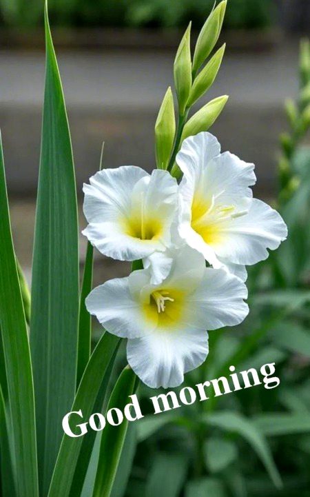 Beautiful Nature image