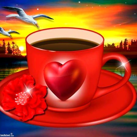 Good morning