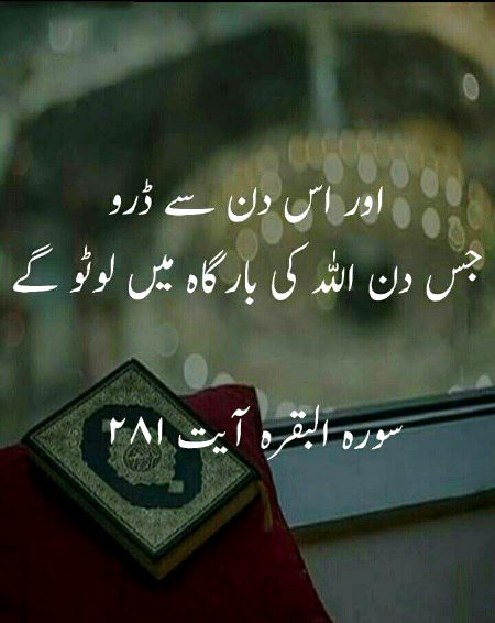 Good morning