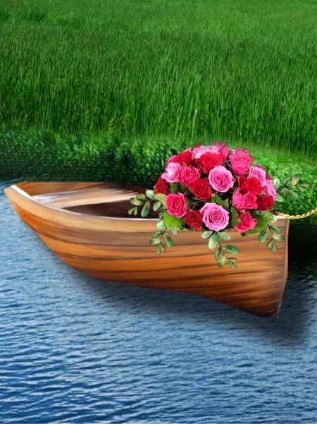 Beautiful Nature image