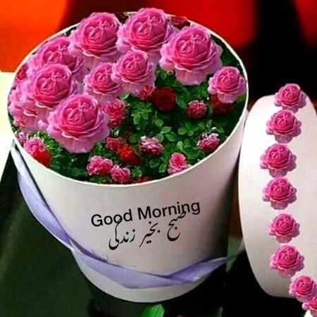 Good morning