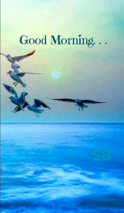 Beautiful Nature image