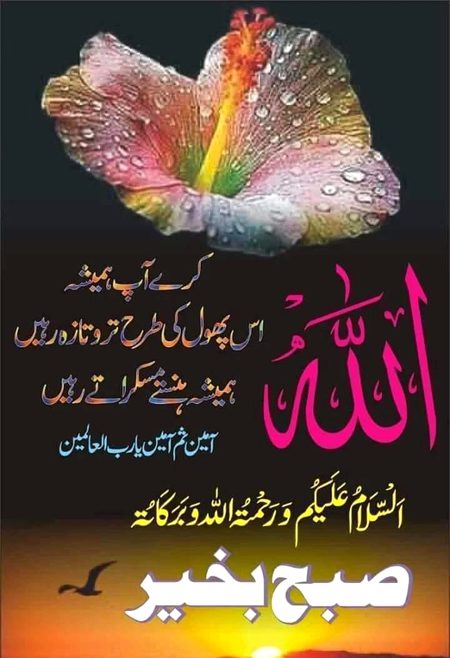 Good morning