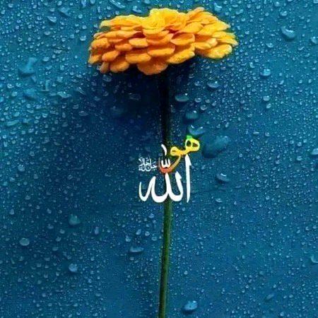 Islamic Quotes image