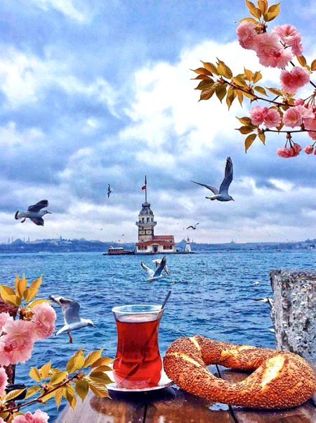 Beautiful Nature image