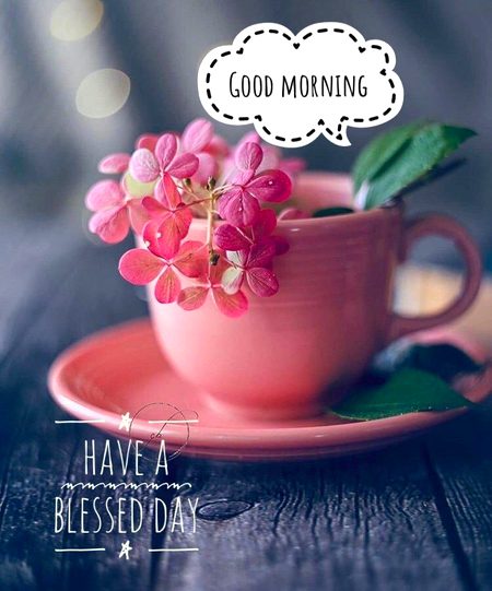 Good morning