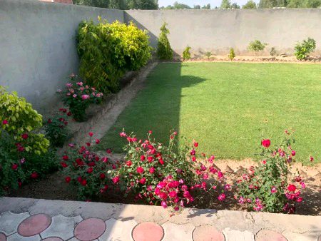 Beautiful Nature image