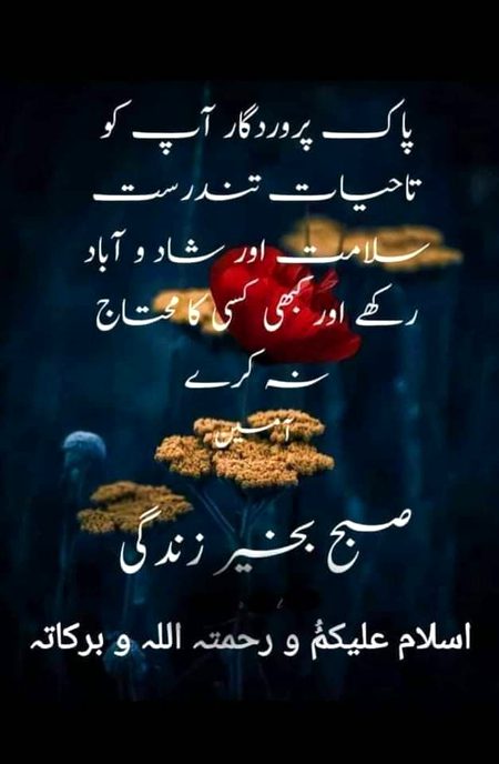 Islamic Quotes image