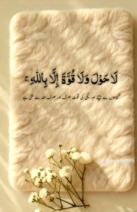 Islamic Quotes image