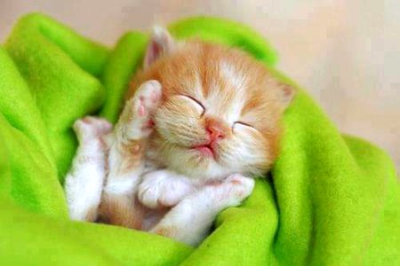 Good morning