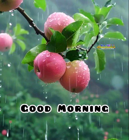 Beautiful Nature image