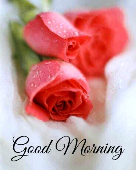 Beautiful Nature image