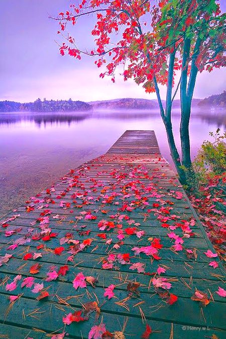 Beautiful Nature image