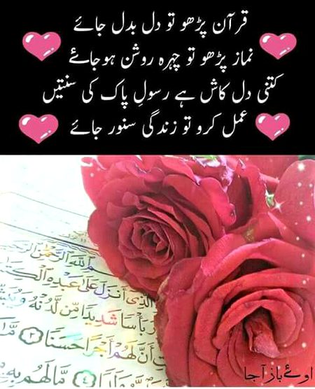 Islamic Quotes image