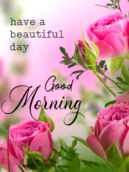 Beautiful Nature image
