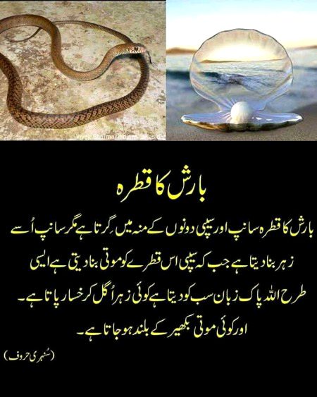 Interesting Posts image