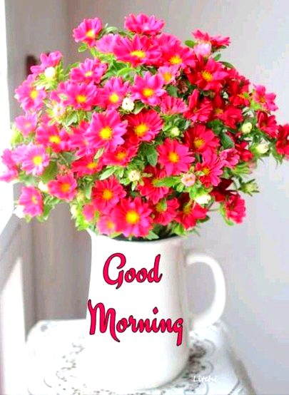 Beautiful Nature image