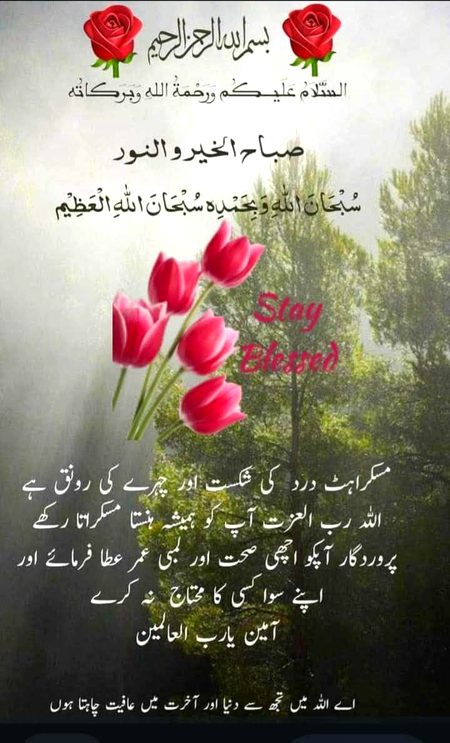 Good morning