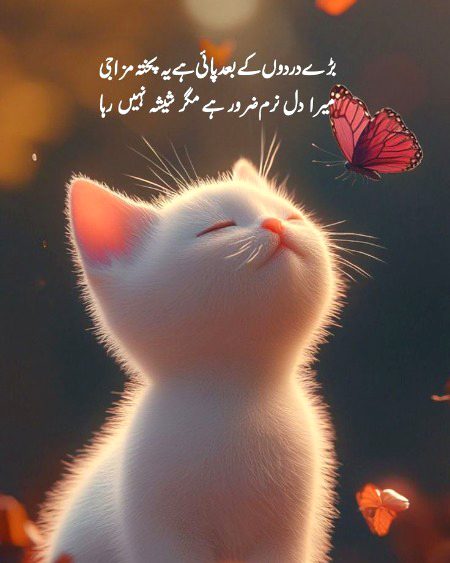 Attitude Poetry image