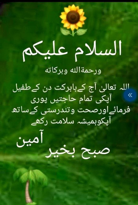 Good morning