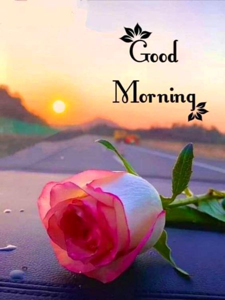 Beautiful Nature image