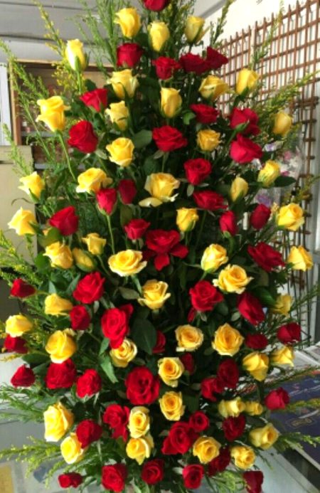Good morning