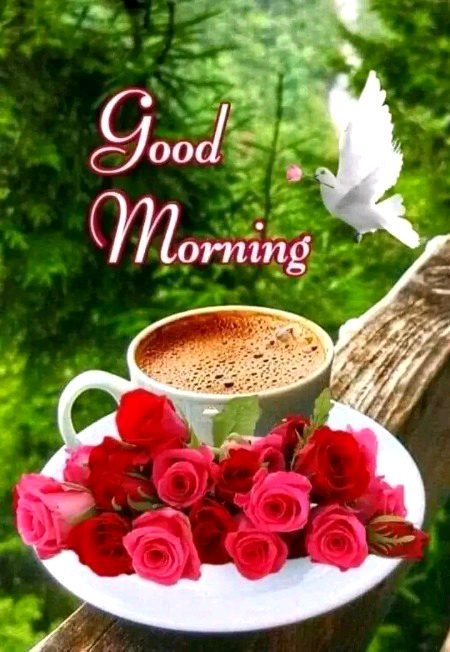 Beautiful Nature image