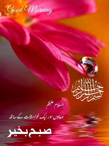 Islamic Quotes image