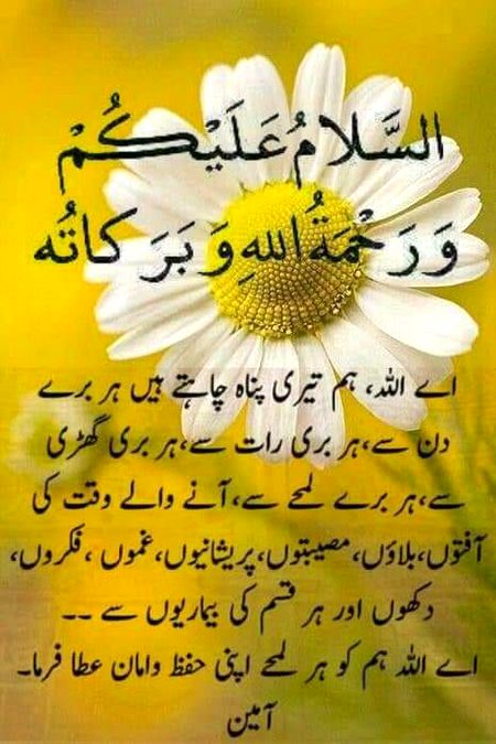 Good morning