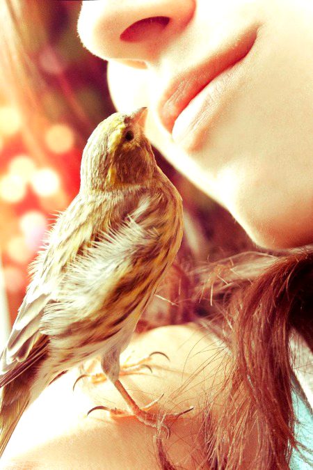 Beautiful People image