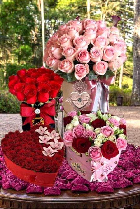 Beautiful Nature image