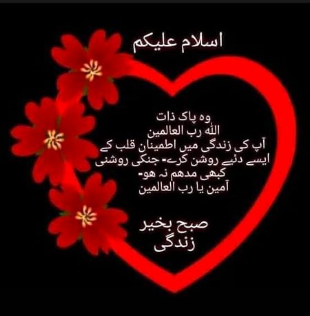 Islamic Quotes image