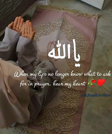 Islamic Quotes image