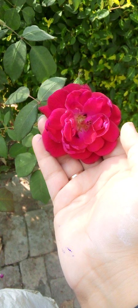 Good morning