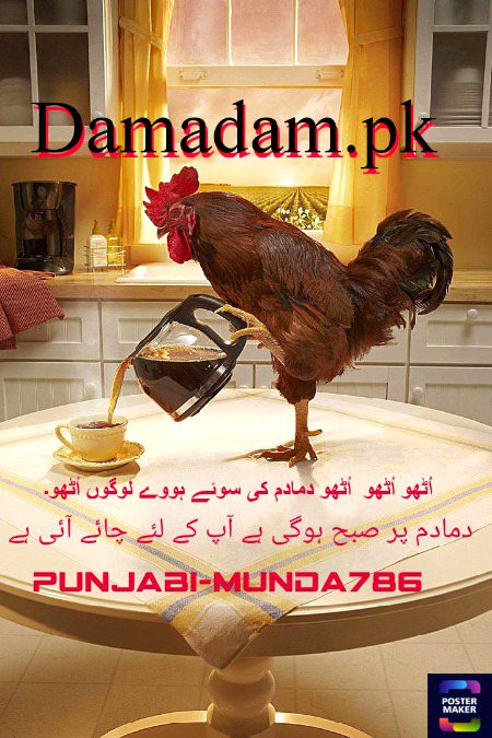 Damadam Roasting image