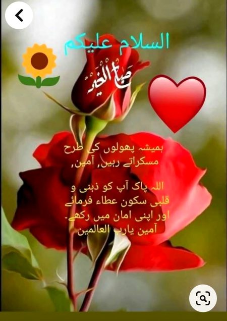 Islamic Quotes image