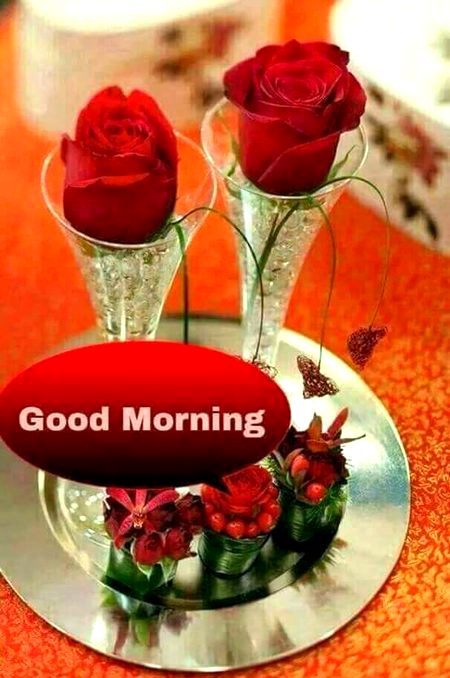 Beautiful Nature image