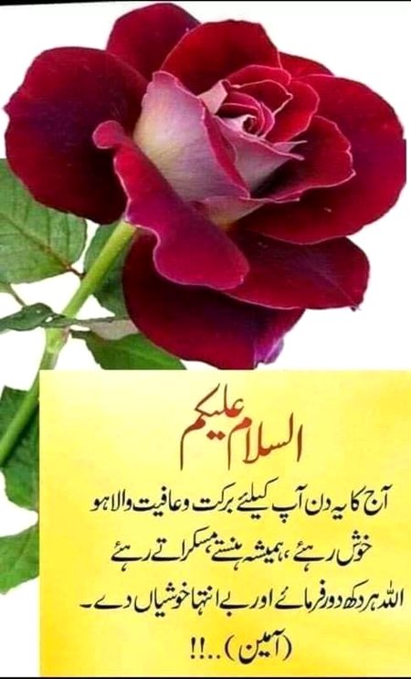 Islamic Quotes image