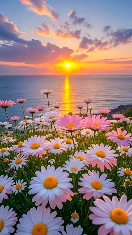 Beautiful Nature image